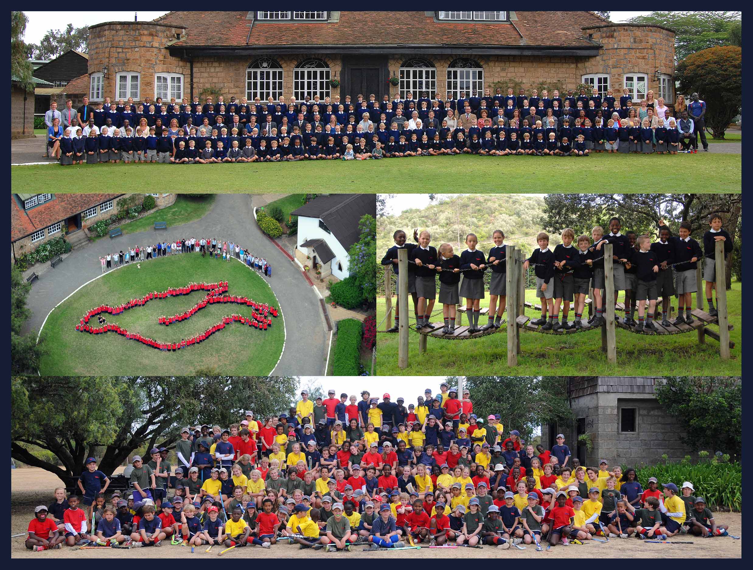 Whole School & Forms